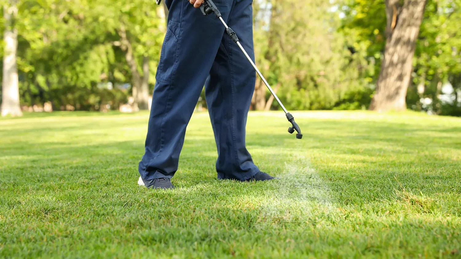 fall-lawn-pests-control.webp