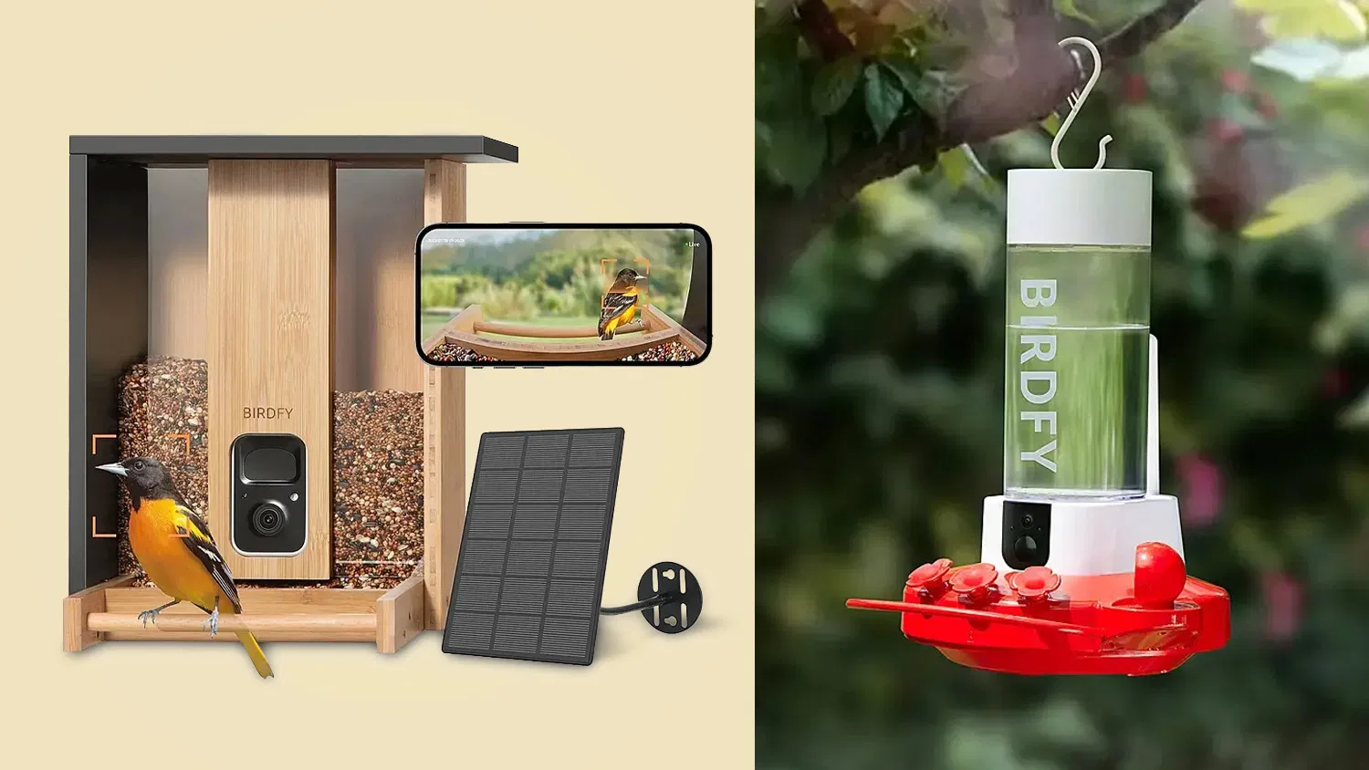 feature_smart-bird-feeders-are-the-gift-of-the-season-here-are-some-bestsellers.webp