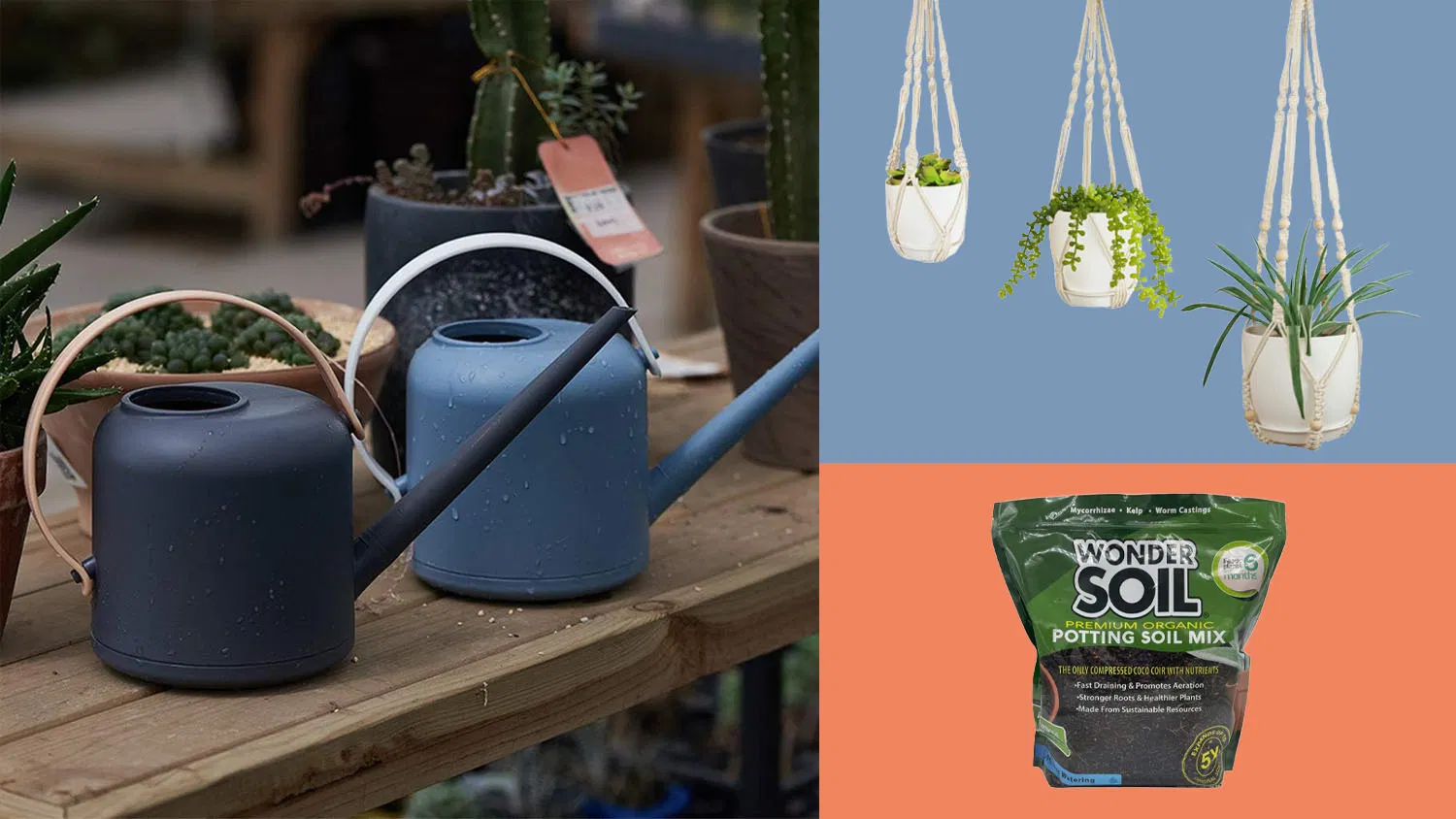 lawn-fall-indoor-gardening-buying-guide-new.webp